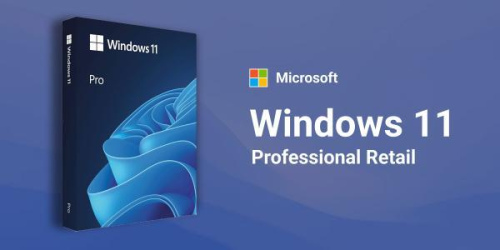 Microsoft Windows 11 Pro Retail Online | Global Region | 1 Device Edition